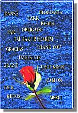 spezielles Kinderbuch, Persönlichkeit Analyse, Geschenke für Kinder, 
Kinderbuch, Zukunftsprognose, Pegastar Bücher - PEGASTAR-Co-Verlag